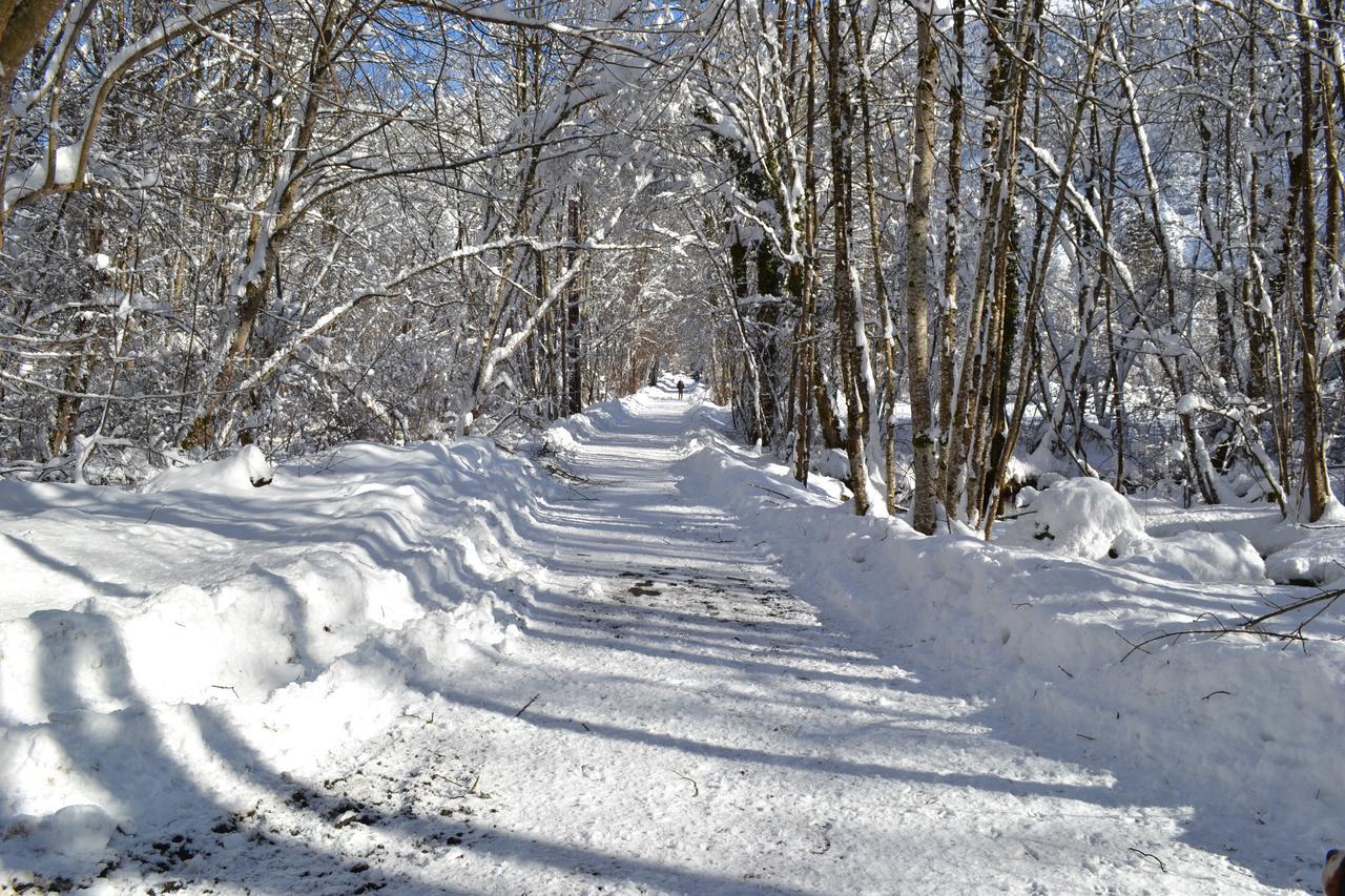 مبيت وإفطار Le Bourg-dʼOisans La Cle Des Bois المظهر الخارجي الصورة